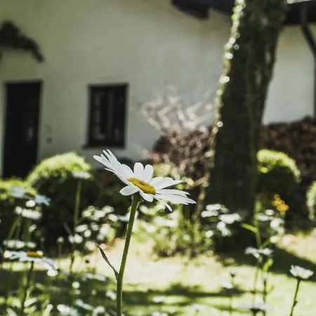 Gartenwohnung Tausendfreund Am Chiemsee Apartmán *