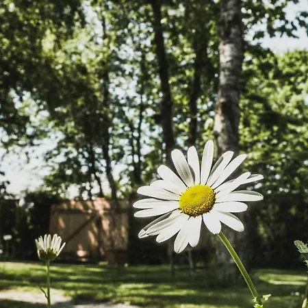 Apartmán Gartenwohnung Tausendfreund Am Chiemsee *