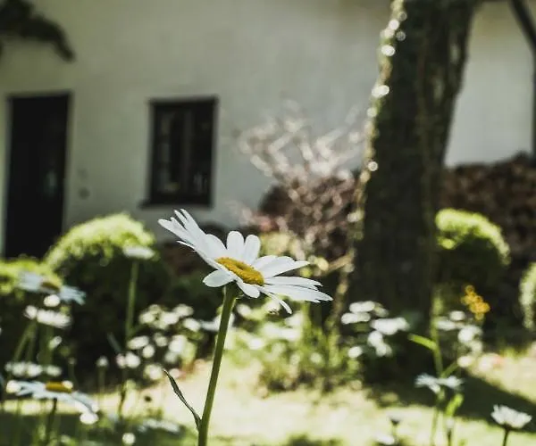 Gartenwohnung Tausendfreund Am Chiemsee 아파트 *