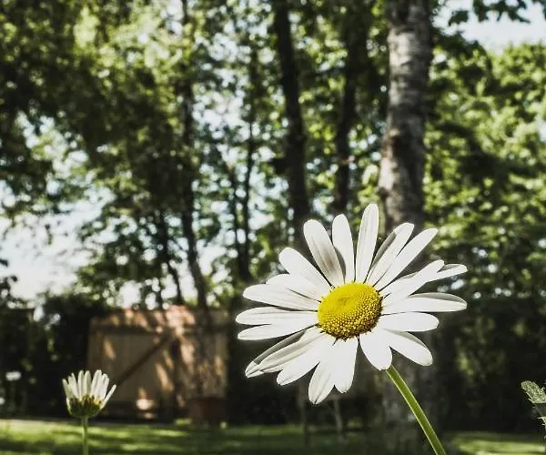 Appartement Gartenwohnung Tausendfreund Am Chiemsee *